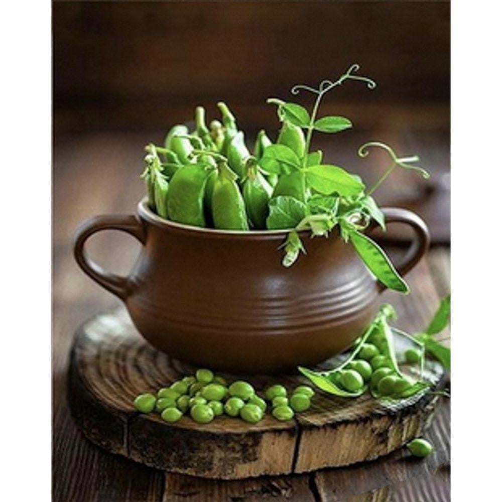 Картина по номерам Strateg Зеленый горошек бриллиантовая вышивка мозаика 30х40 см (VM-127-A-249)