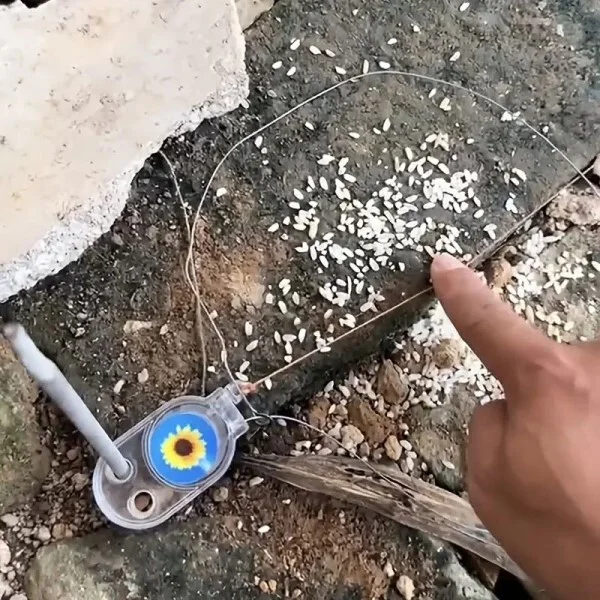 Ловушки для птиц AN00591-1 2 шт. - фото 3 Ловушки для птиц AN00591-1 2 шт. - фото 3