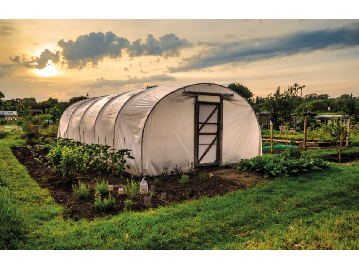 Пленка тепличная 50 мкм 3х100 м Белый - фото 11 Пленка тепличная 50 мкм 3х100 м Белый - фото 11