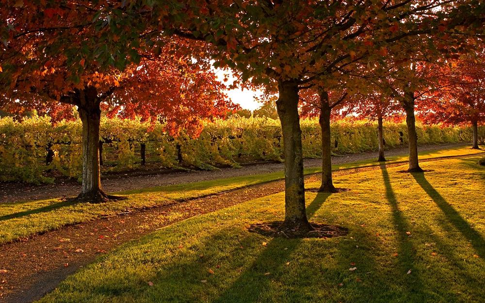 Картина Природа  PR019 35х55 см