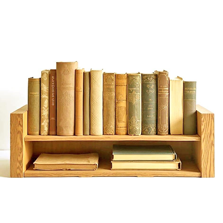Полка книжная настольная из дерева Витор Карри (КПА-016703) Полка книжная настольная из дерева Витор Карри (КПА-016703)