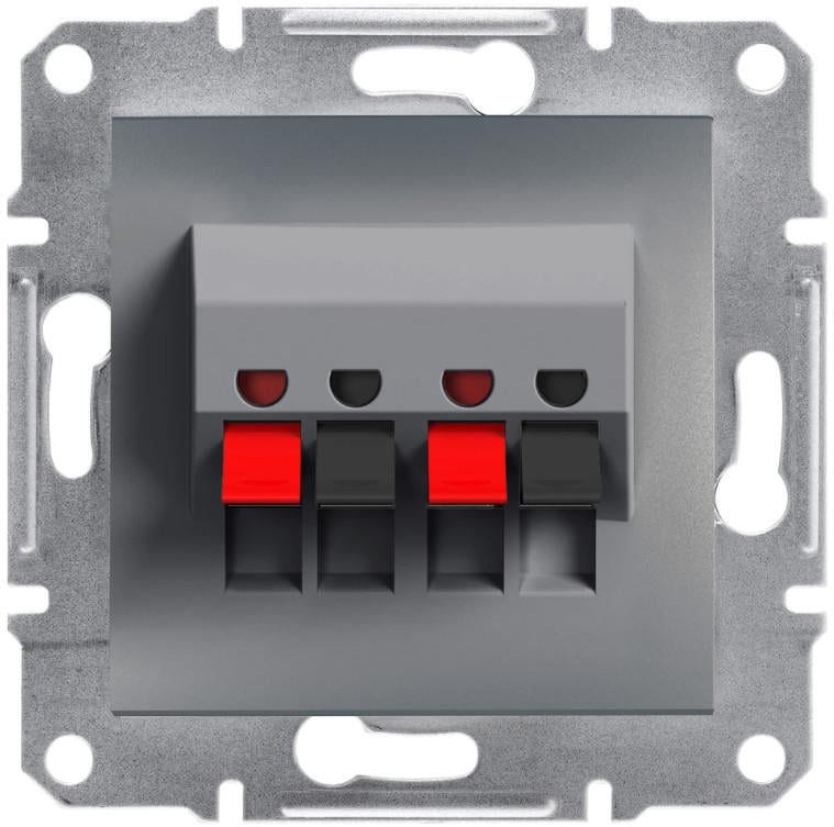 Аудиорозетка Schneider Electric Asfora ABS Сталь (EPH5700162)