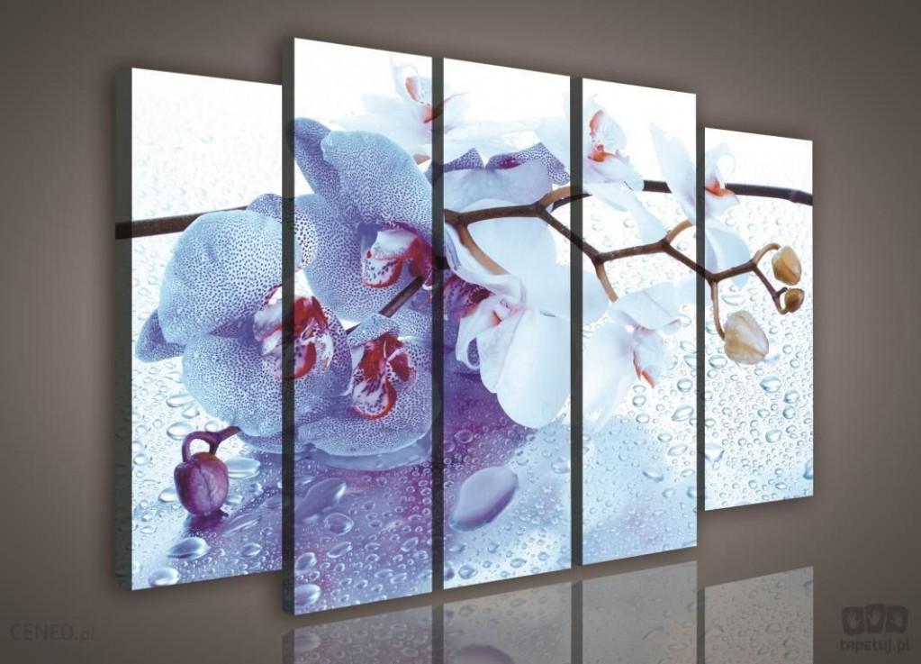 Модульная картина 3x30x100/2x30x80 см на холсте Consalnet Ветка орхидеи (PS1004S12)