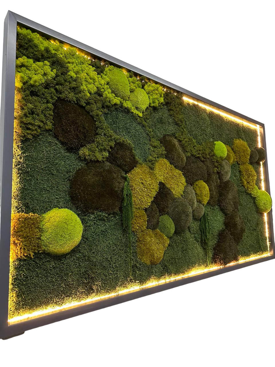 Картина из мха Organic Design 820 с подсветкой 162x60 см (820-162-60) Картина из мха Organic Design 820 с подсветкой 162x60 см (820-162-60)