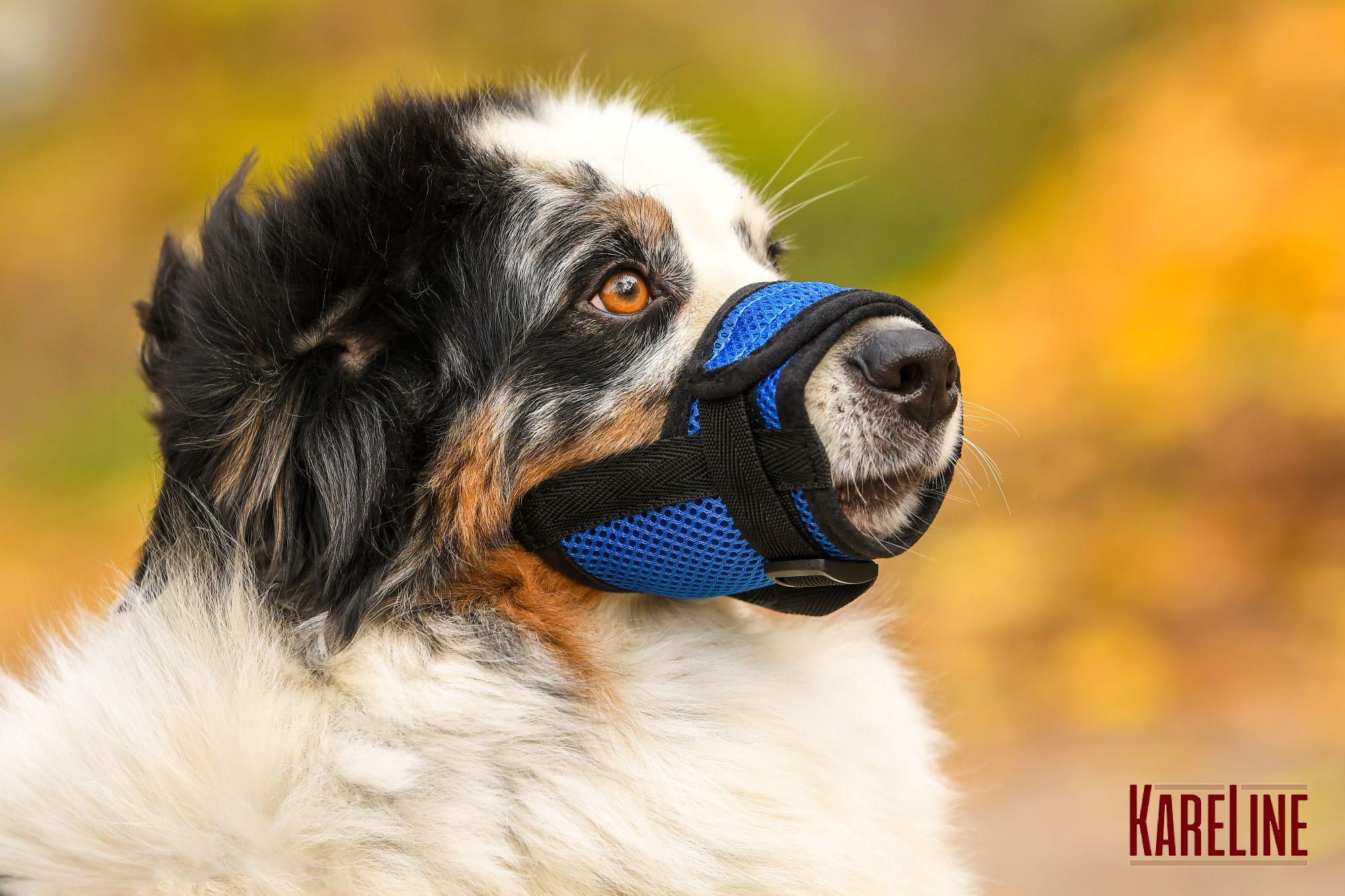 Намордник сетка KareLine из нейлона для стаффордширского терьера XL (0534/7) - фото 2 Намордник сетка KareLine из нейлона для стаффордширского терьера XL (0534/7) - фото 2