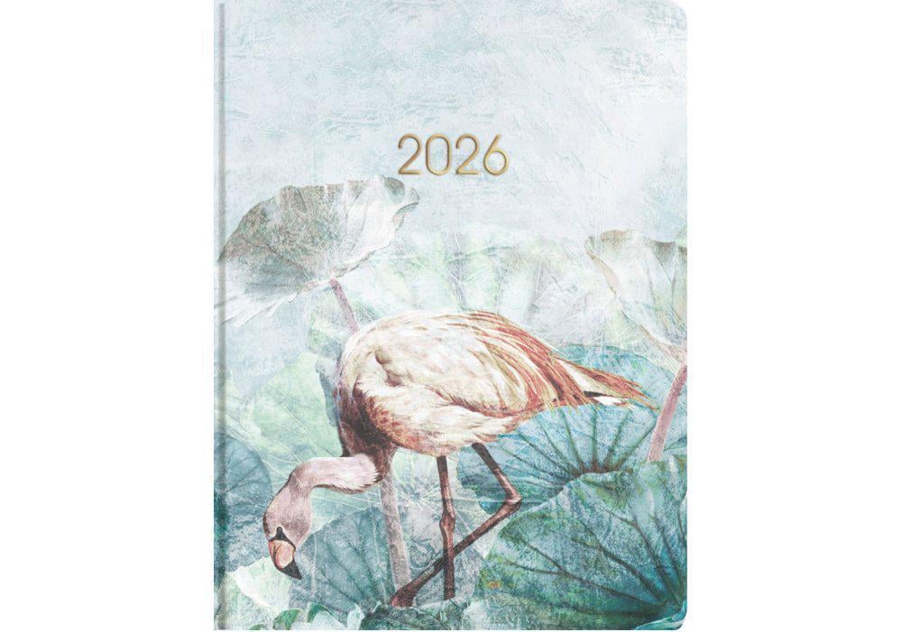 Дневник датированный 2026 Economix Color A5 336 стр. принт (E21873)