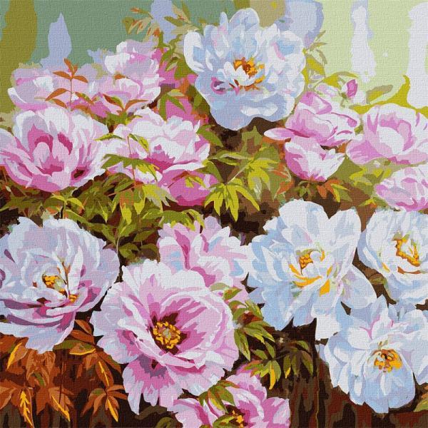 Картина по номерам Идейка Цветы Разнообразие пионов 50х50 см в термопакете (KHO3193)