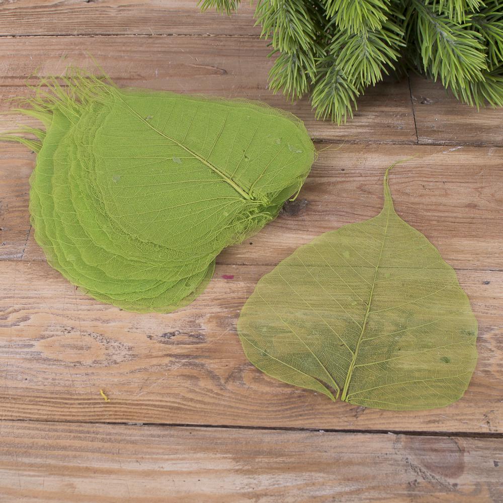 Сухоцвет листья скелетон 50 шт. Зеленый (1177-1)