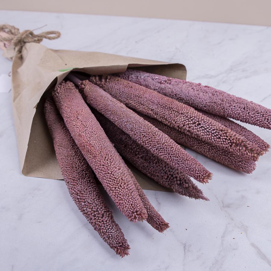 Сухоцвіт babala (ST00194) - фото 2 Сухоцвіт babala (ST00194) - фото 2