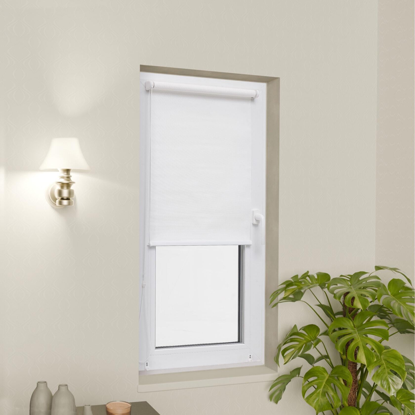 Рулонна штора Roll de Luxe Сіде A1000/1 115x240 см Білий Мат (A1000/1-115*240)