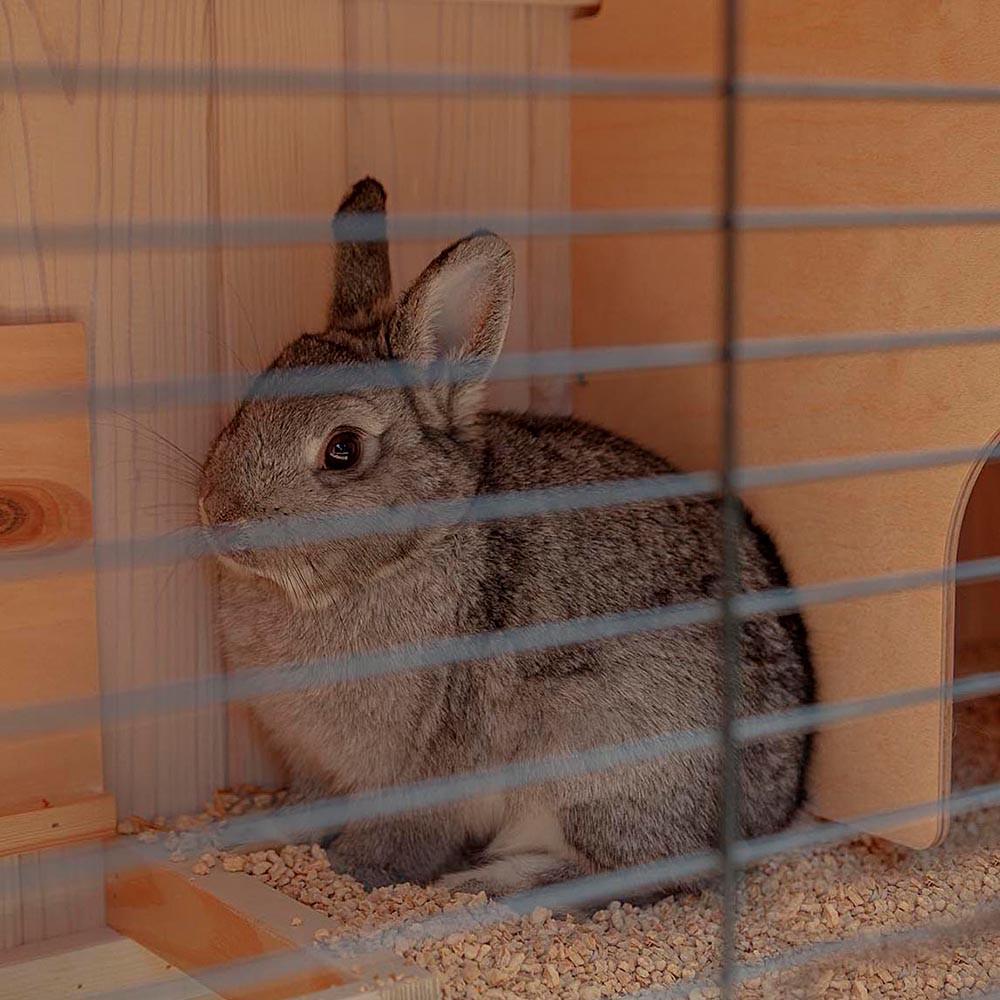 Клітка для кроликів дворівнева RANCH 100 BASIC FSC з північної ялини 90,5x46/80 см (A-036651) - фото 4 Клітка для кроликів дворівнева RANCH 100 BASIC FSC з північної ялини 90,5x46/80 см (A-036651) - фото 4