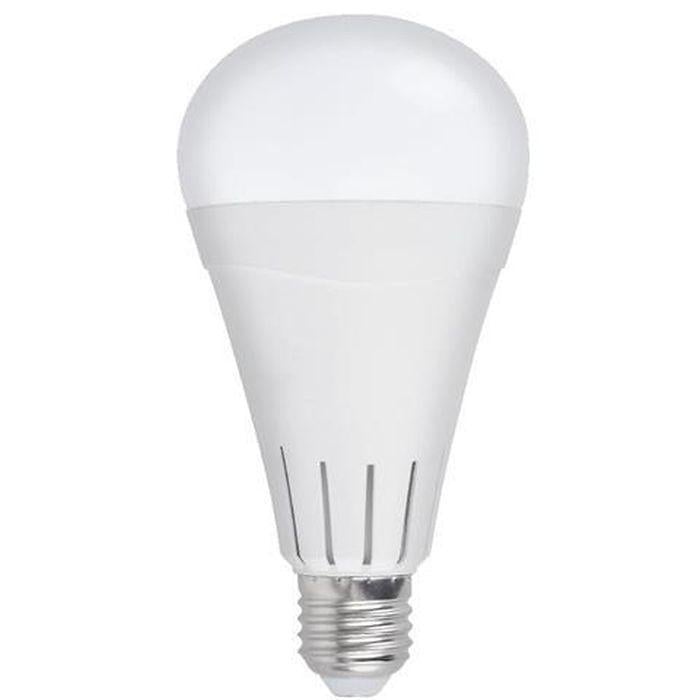 Лампа светодиодная аккумуляторная DURALITE-12 12W 6400К E27 (36486235)