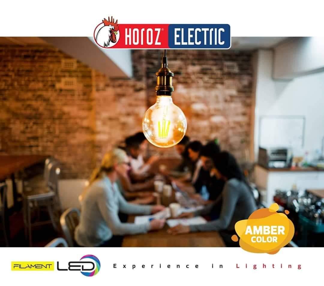 Лампа светодиодная HOROZ ELECTRIC Filament Globe-8 8W A60 E27 4200K - фото 2