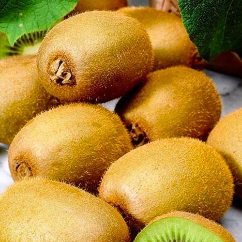 Сажанец Киви самоопыляющийся коричневый слегка волокнист с мякотью изумрудного цвета Милфорд Milford премиальный сорт (47868)