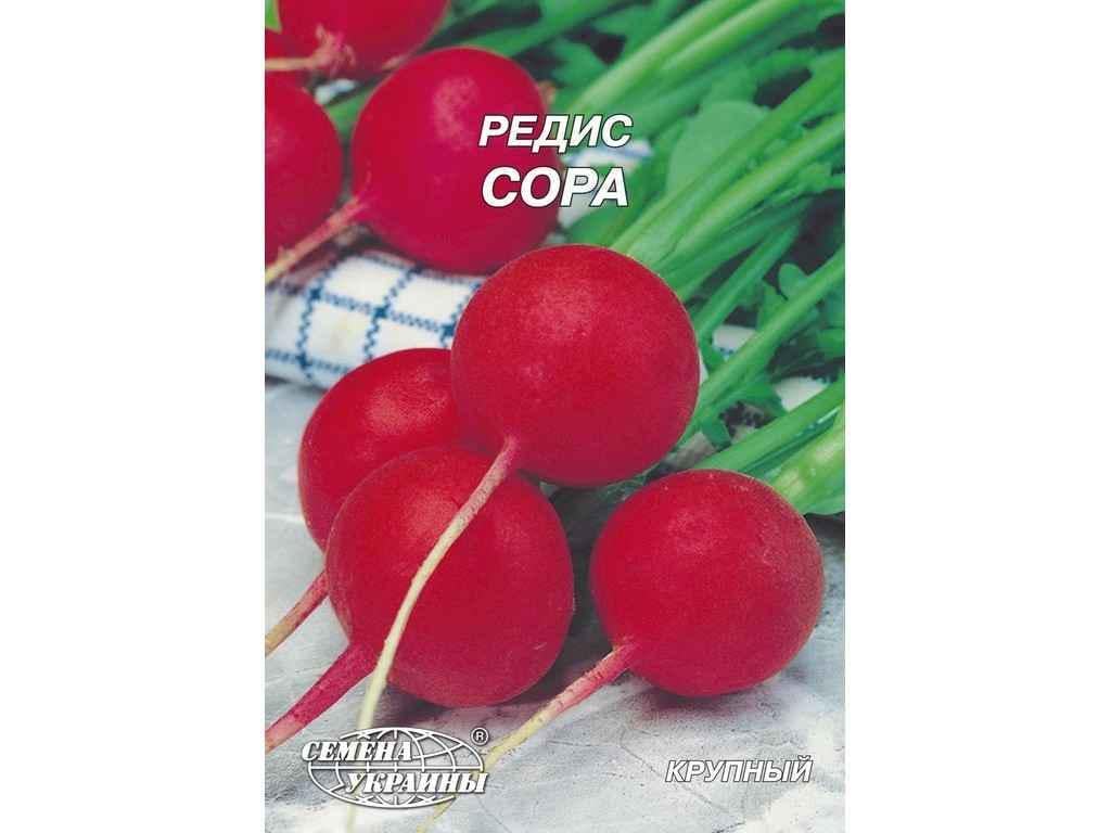Семена Редис Насіння України Гигант Сора 20 г 10 пачек (99244)