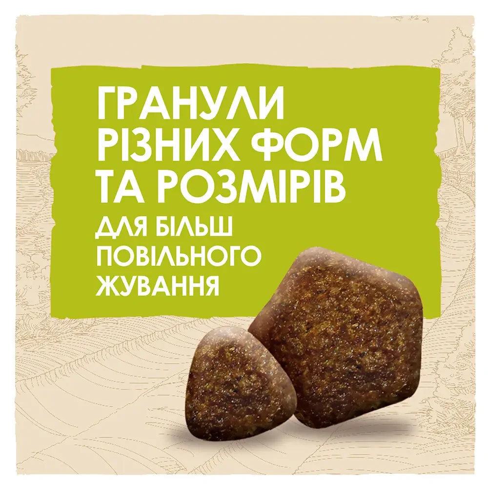 Сухой корм DOG CHOW Large Breed 2/для собак больших пород с индейкой 14 кг - фото 5