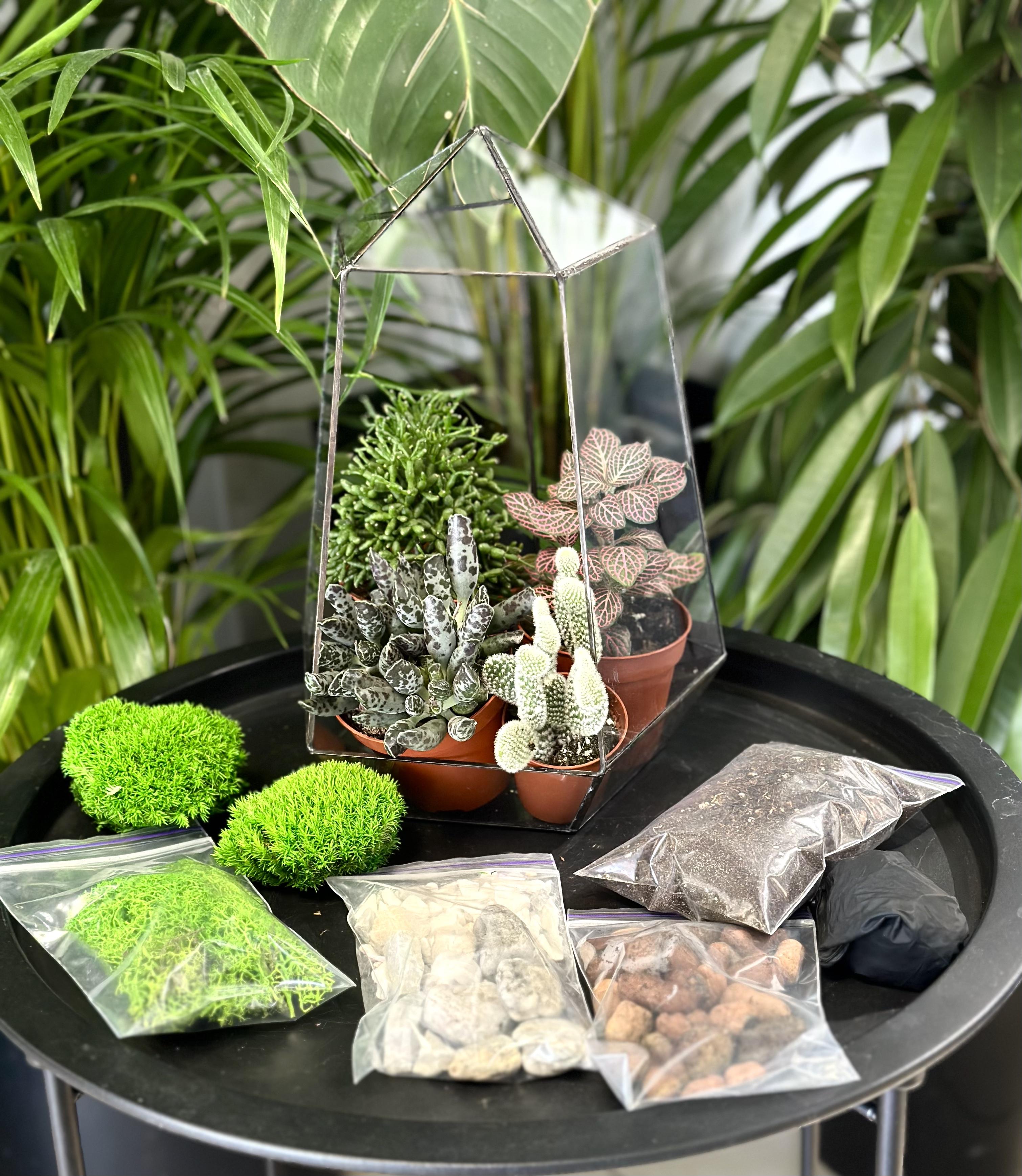 Набір для створення флораріума Plants room (20585588)