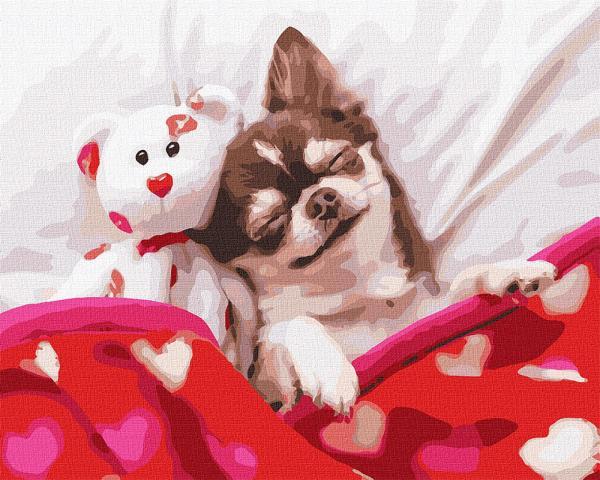 Картина по номерам Идейка Спящая красавица 40х50 см в термопакете (KHO4277)