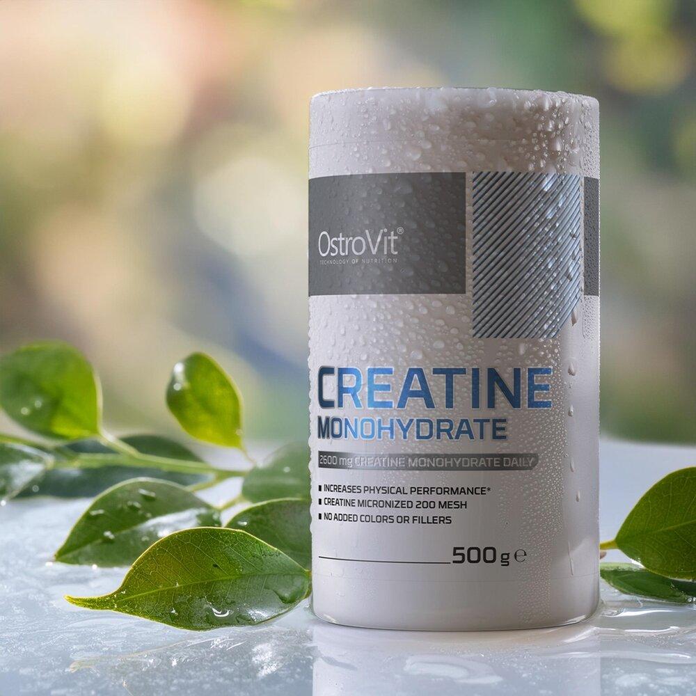 Креатин Ostrovit Creatine Monohydrate 500 г (2544260391)