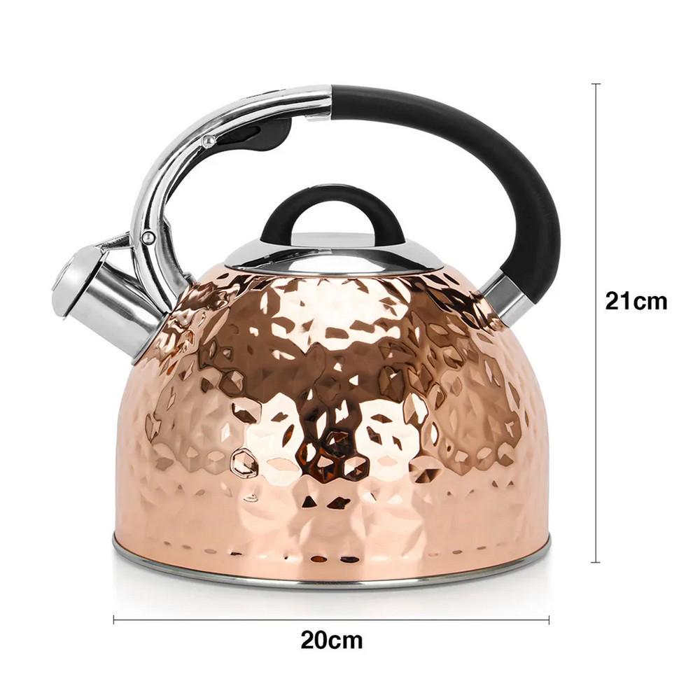 Чайник Fissman Nicole 2,5 л (5966) - фото 2