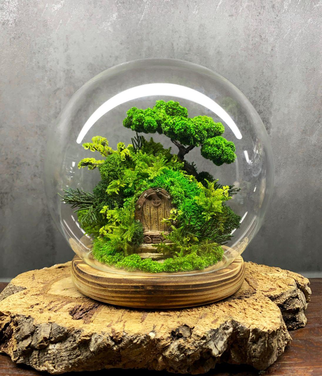 Мосаріум Двері у чарівний ліс з підсвіткою D18 см Мосаріум Двері у чарівний ліс з підсвіткою D18 см