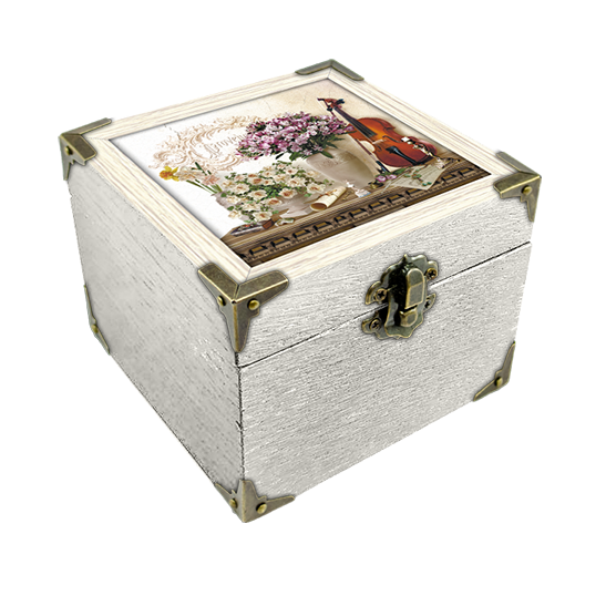 Скриня дерев'яна-еко Прованс Скрипка 10х10 см Білий (пршк06бп10х10)