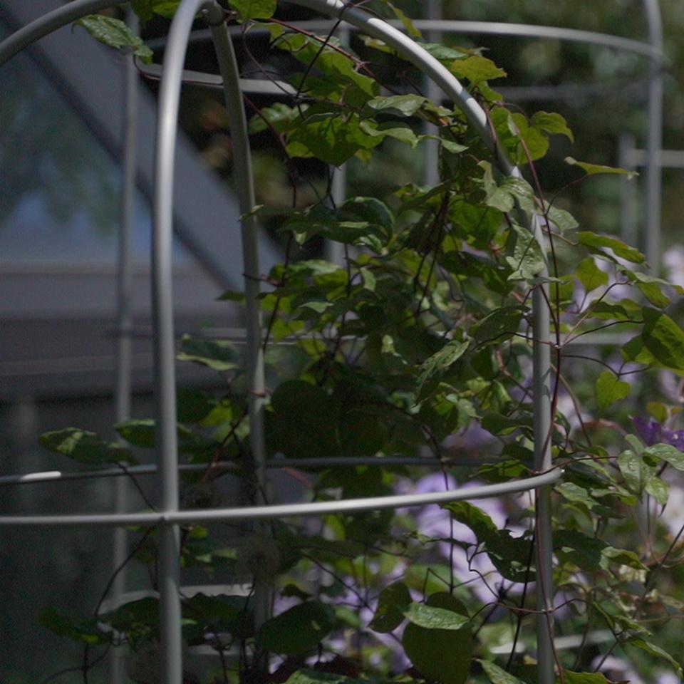 Опора для растений арочно-кольцевая на два кольца 1300х700х700 мм (АКО-D16/D8-1300*700/2) - фото 5 Опора для растений арочно-кольцевая на два кольца 1300х700х700 мм (АКО-D16/D8-1300*700/2) - фото 5