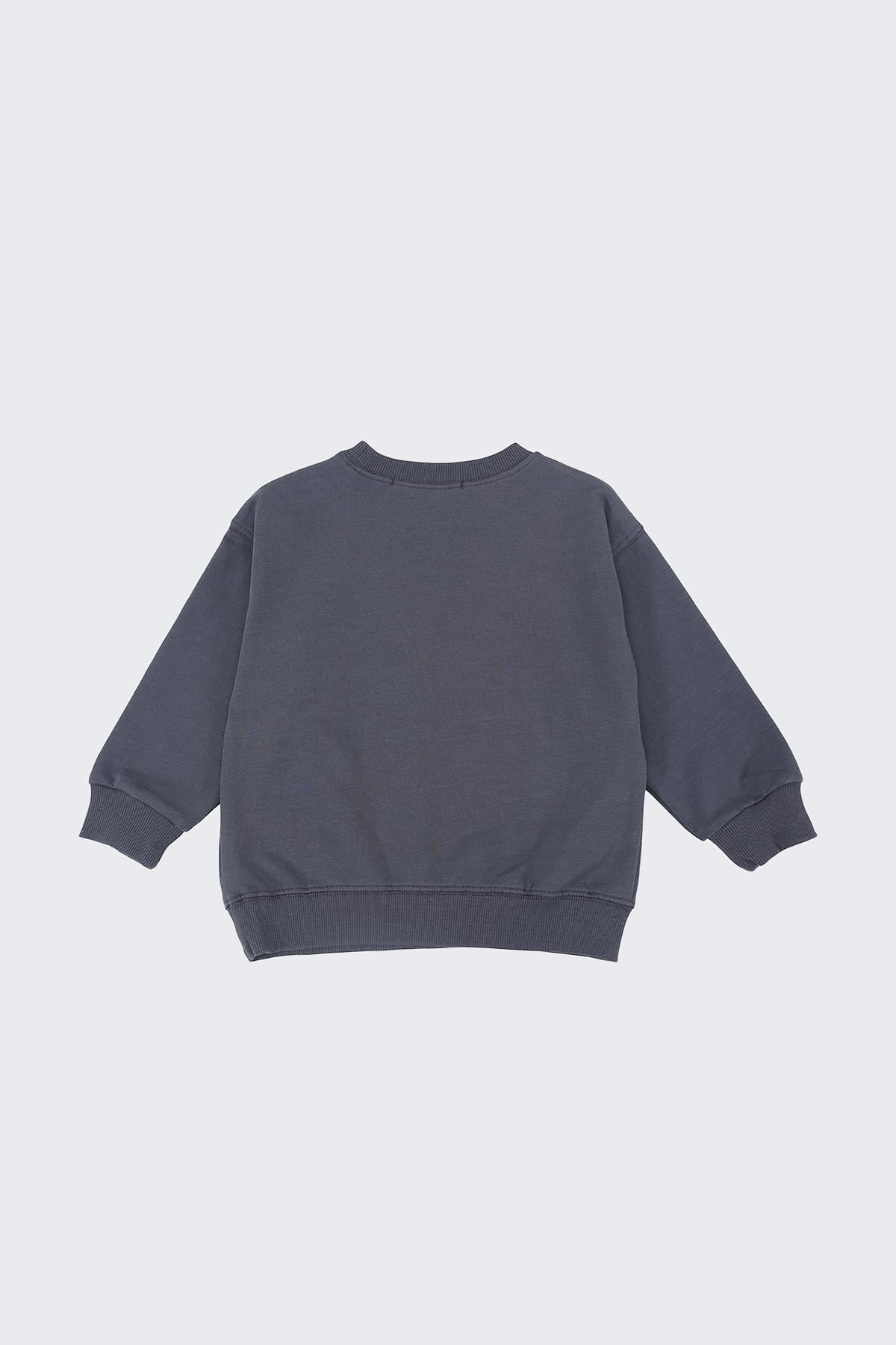 Свитшот для мальчика 110 см Графитовый (ЦБ-00288382)