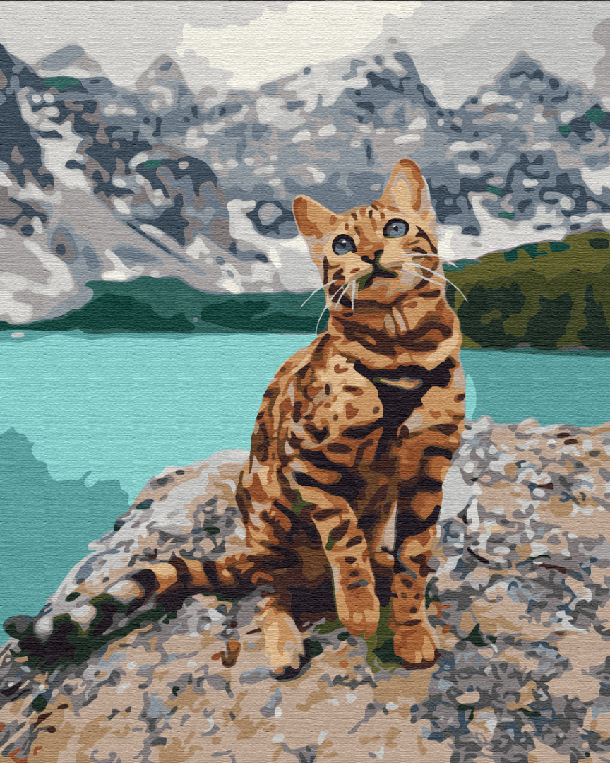 Картина по номерам Brushme Любимец в горах 40х50 см (BS33346)