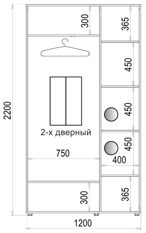 Шкаф-купе Luxe 2 двери Стекло тонированное/Стекло тонированное 2038-2038 CLS - I 1200x2200x450 мм Венге (36139) - фото 4