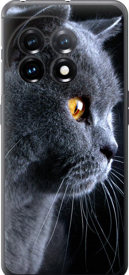 Чехол на OnePlus 11 Красивый кот (3038u-2940-42517)