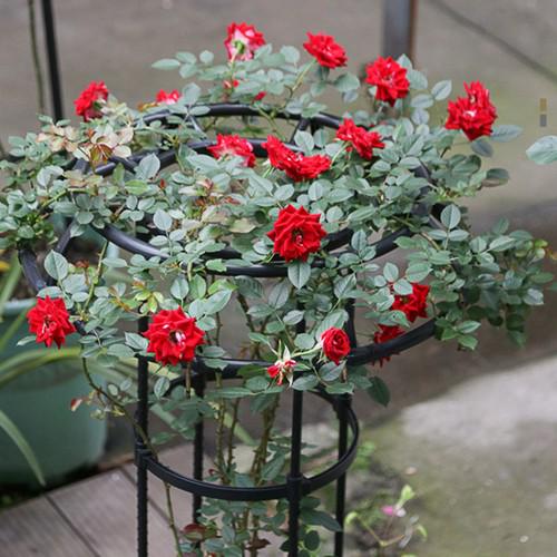 Опора для растений 8955 125 см Черный (8955) - фото 3 Опора для растений 8955 125 см Черный (8955) - фото 3