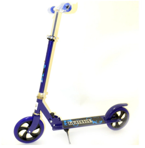 Детский самокат ITrike SR 2-010-1 складной двухколесный Синий (SUN6663)