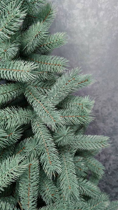 Штучна ялинка лита Буковельська з металевою підставкою 1,80 м Блакитний (NYT15174) - фото 2 Штучна ялинка лита Буковельська з металевою підставкою 1,80 м Блакитний (NYT15174) - фото 2