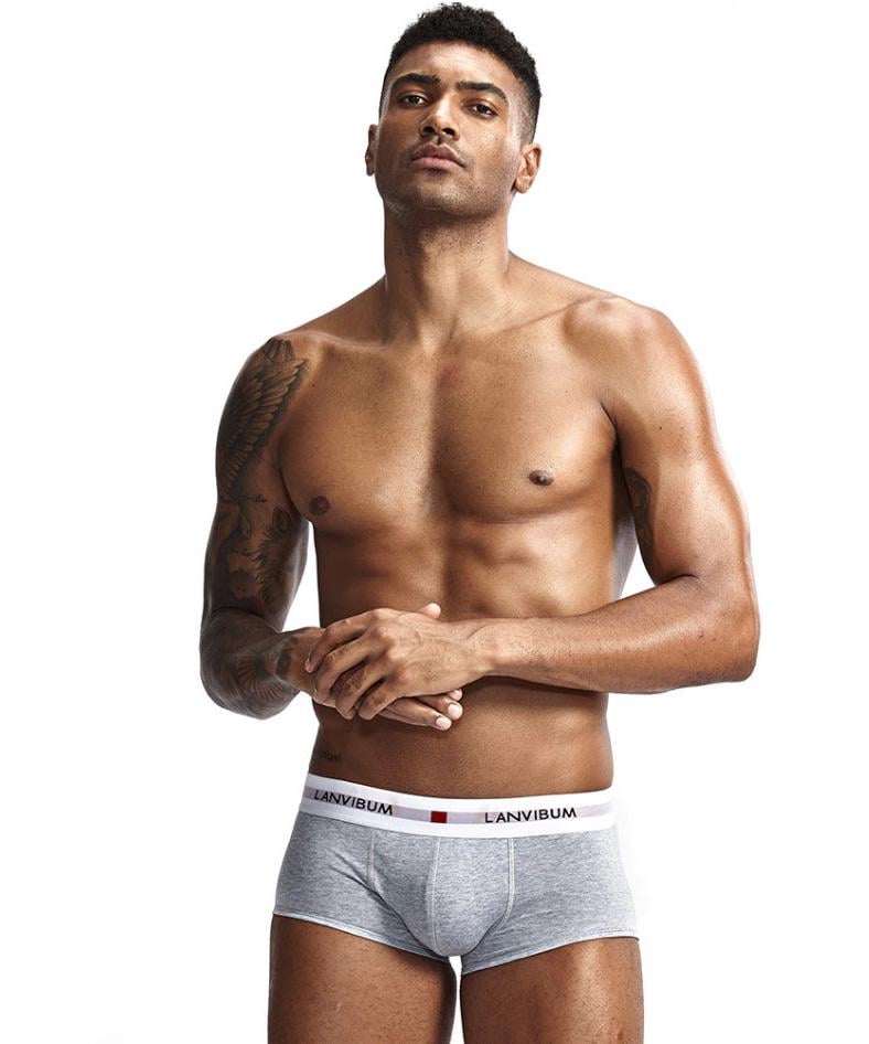 Нижнее белье Lanvibum M Серый (5537)