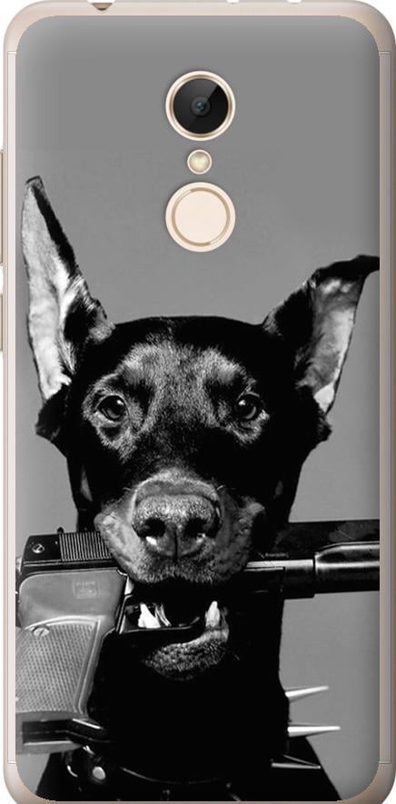 Чехол на Xiaomi Redmi 5 Доберман (2745u-1350-42517)