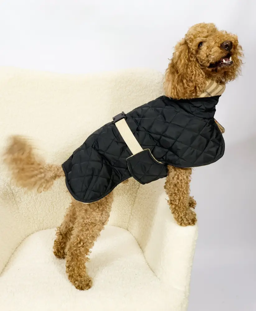 Жилет Dogs Bomba стежка двосторонній Чорний (G-114/6)