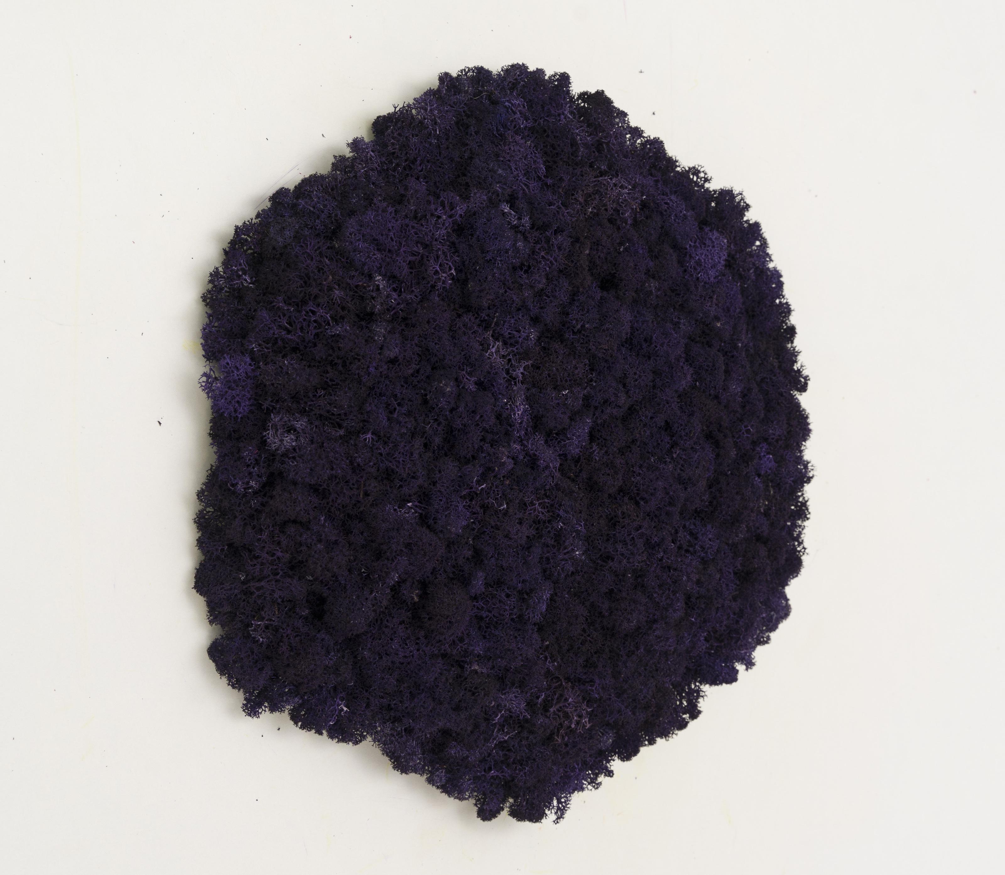 Декоративное панно из мха Organic Design шестиугольная панель 33 см Purple (702-11) - фото 3 Декоративное панно из мха Organic Design шестиугольная панель 33 см Purple (702-11) - фото 3