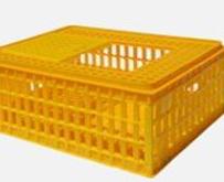 Клетка для перевозки кур (птиц)