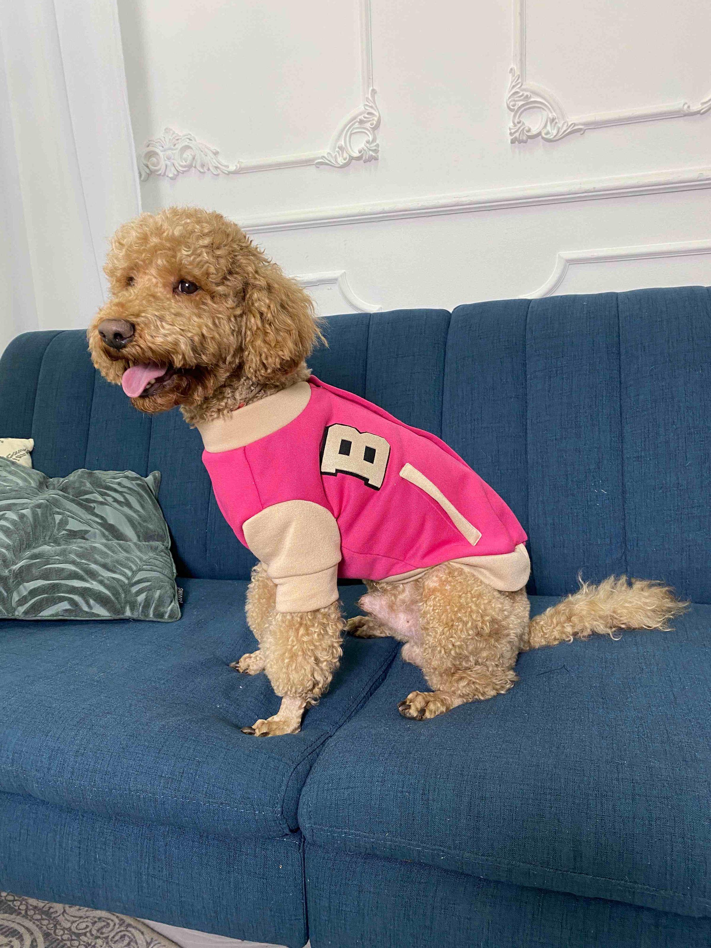 Бомбер для собак Dogs Bomba Y-278 р. 4 Малиновый/Бежевый (73484587)