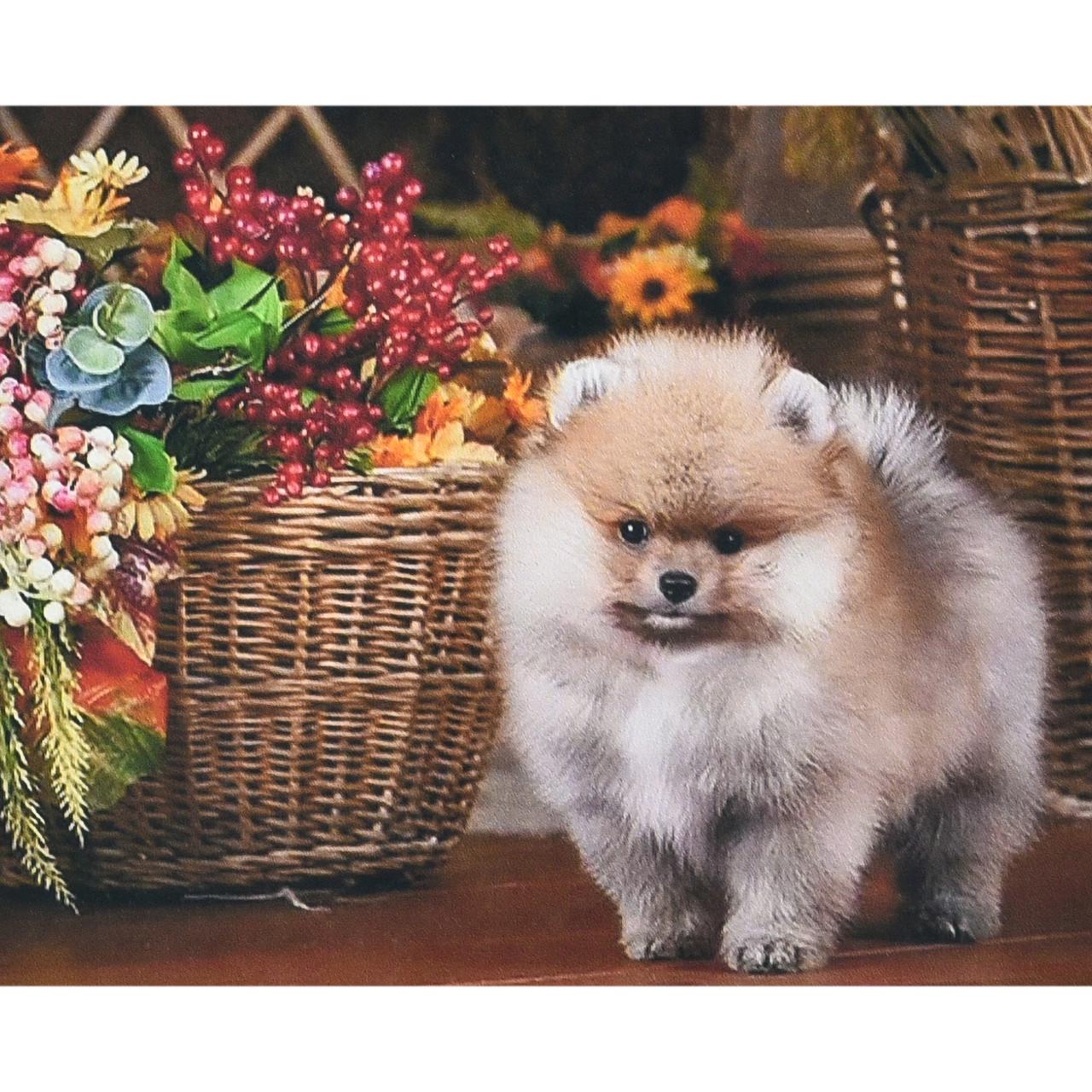 Алмазна мозаїка Strateg Песик біля кошика 30х40 см (HEG87073)