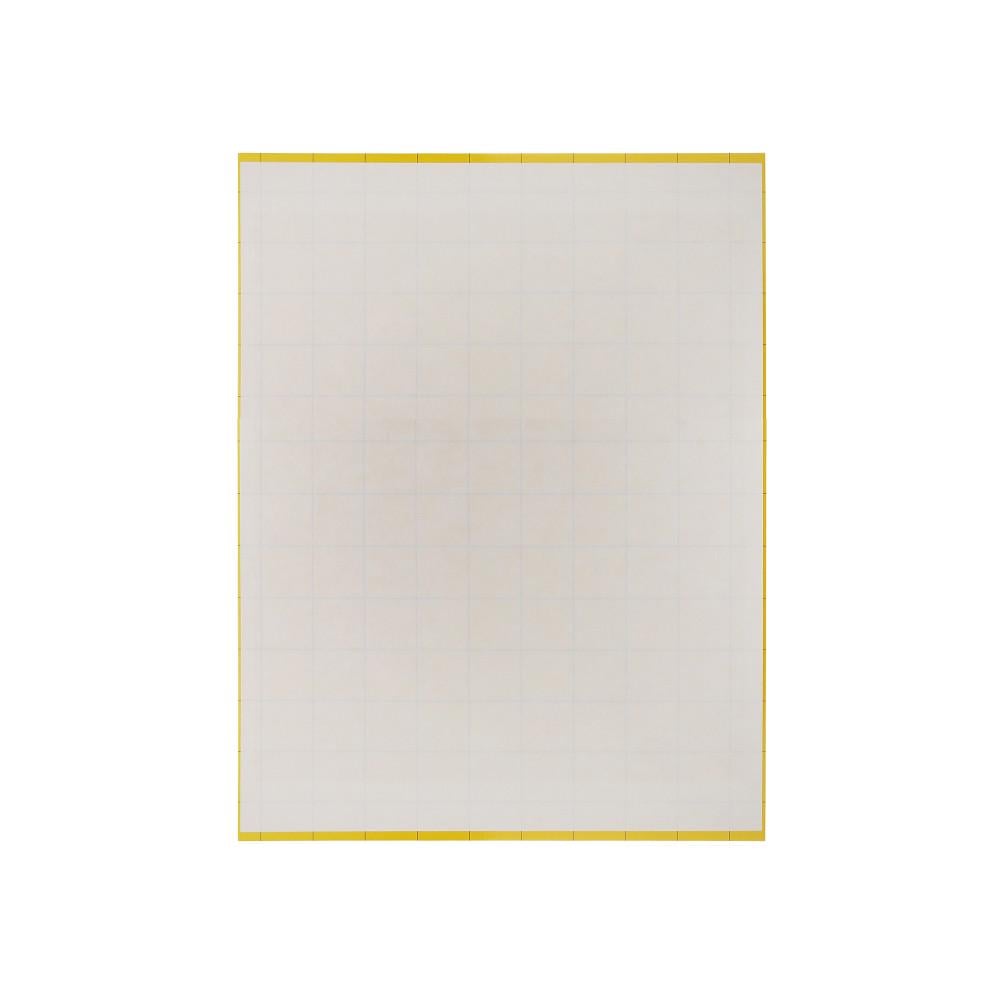 Вкладыш клеевой против насекомых Pomel FTC 30 для LPO 363х448 мм (2462769373)