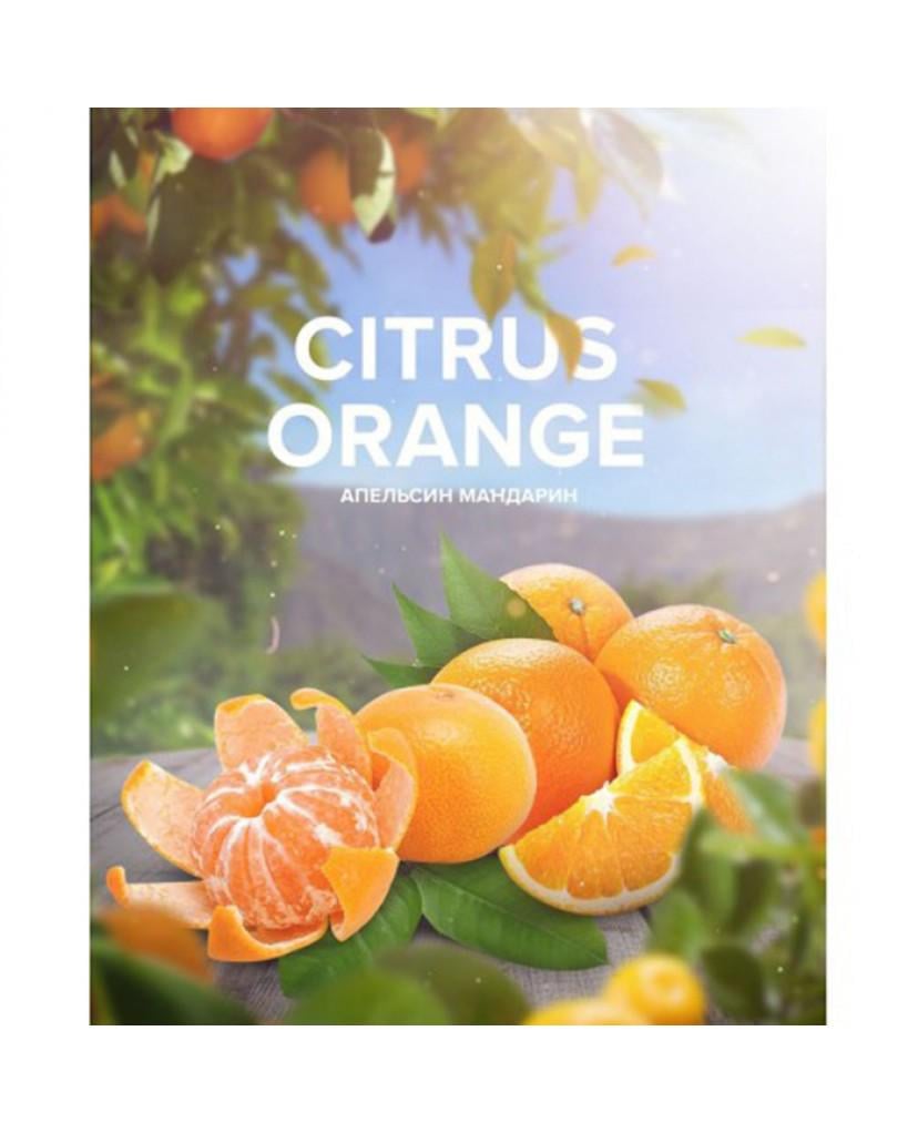 Забивка для кальяна 420 Tea Citrus orange
