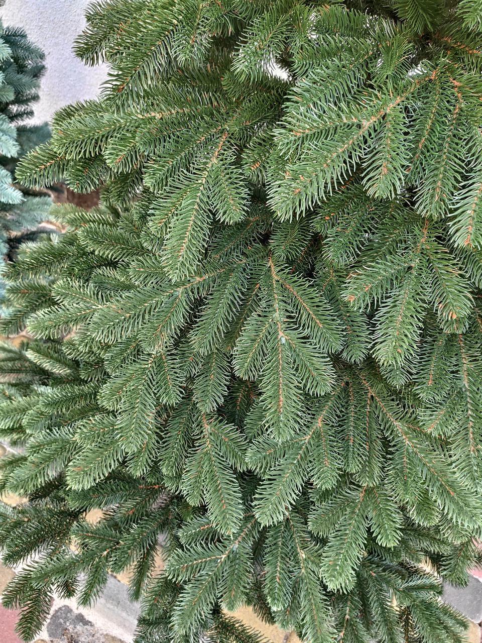 Штучна ялинка лита Преміум з підставкою 2,30 м Зелений (NYT15301) - фото 3 Штучна ялинка лита Преміум з підставкою 2,30 м Зелений (NYT15301) - фото 3