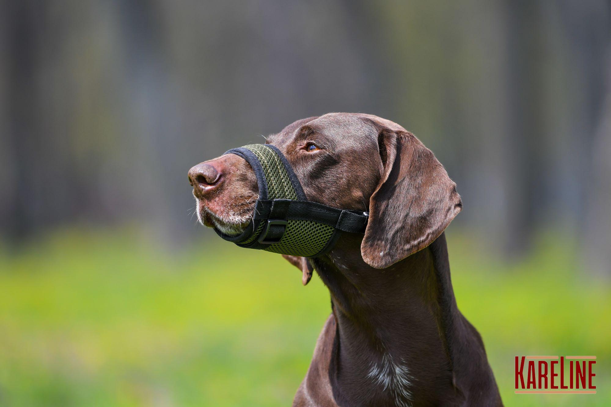 Намордник сетка KareLine из нейлона для спаниеля XS (0531/15) - фото 3