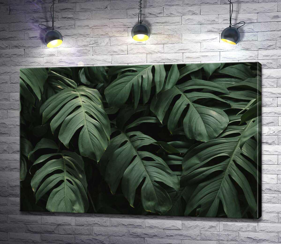 Картина ArtPoster Ажурне листя тропічної ліани монстери 100x67 см Модуль №1 (001219)