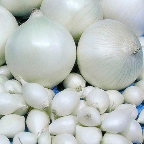 Насіння Цибуля сівок саджанка Гледстоун 0,5 кг (13714)