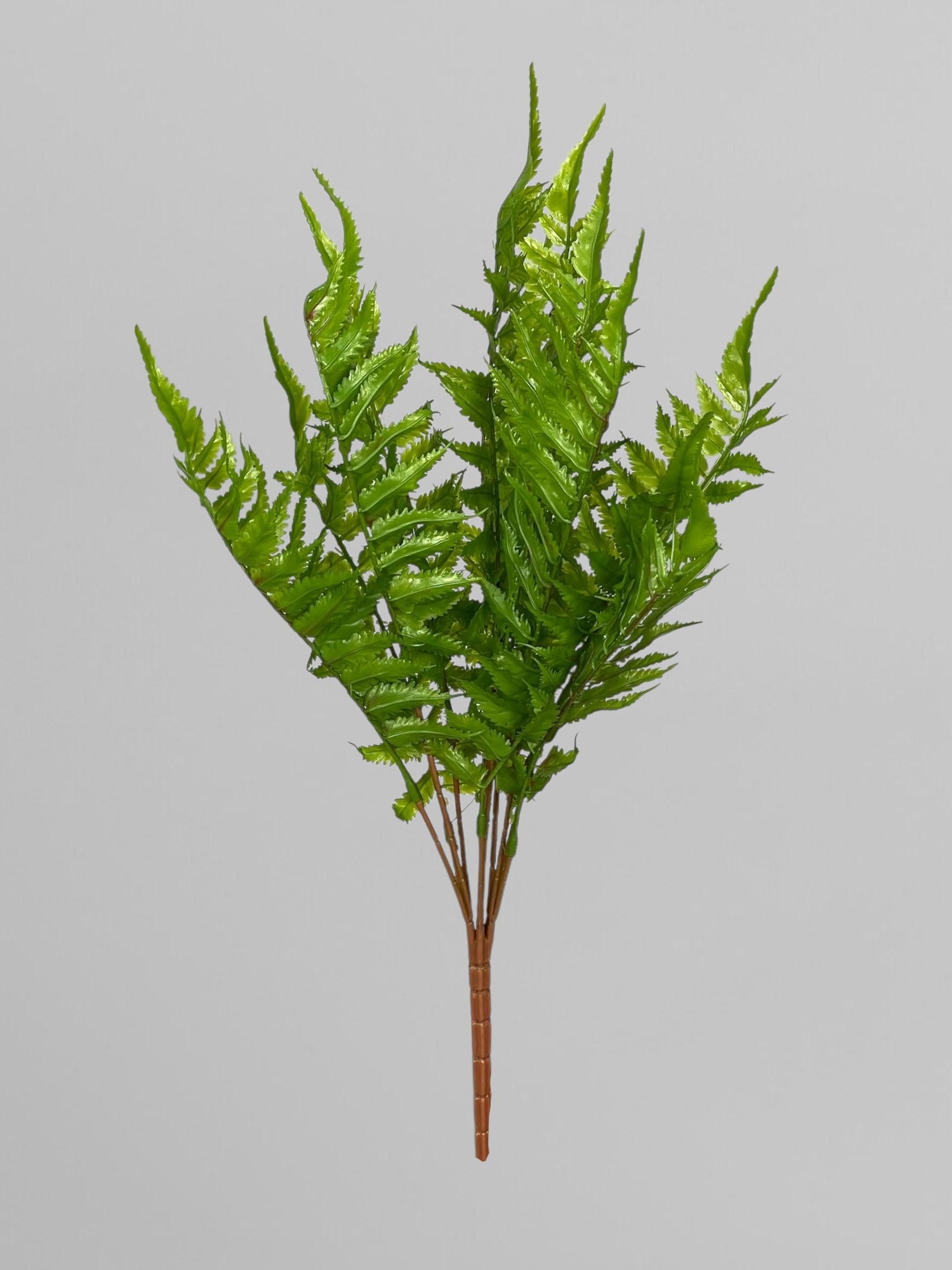 Искусственная Вудвардия 48 см Зеленый (Р05006)