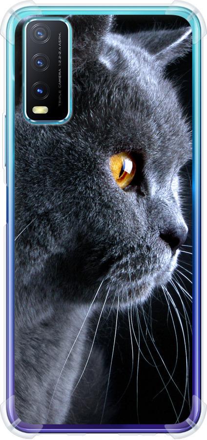 Чехол на Vivo Y20 Красивый кот (3038sp-2078-42517)