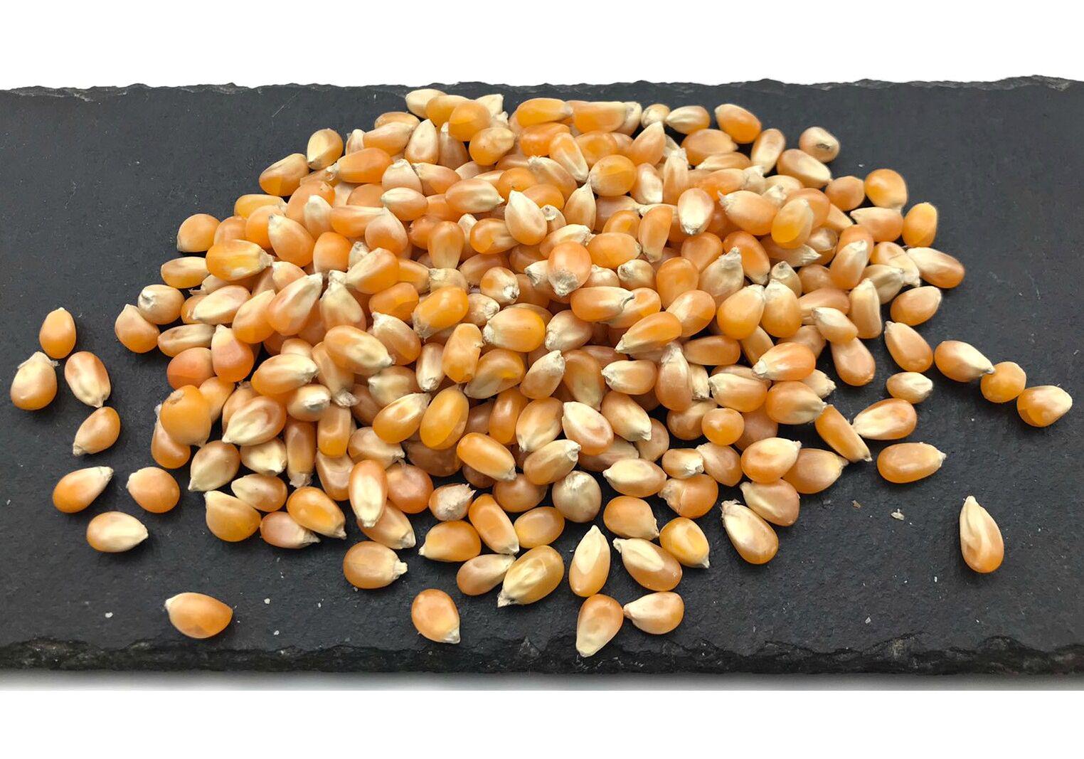 Семена кукурузы Солонянский 298 СВ ФАО-310 Украинская селекция 3 кг (ЕУ73684) Семена кукурузы Солонянский 298 СВ ФАО-310 Украинская селекция 3 кг (ЕУ73684)